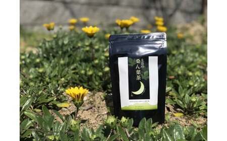 太良の桑ん葉茶 1セットティーパック お茶 茶 飲料 国産茶 桑の葉茶 佐賀県 太良町