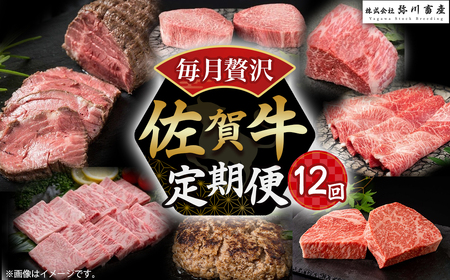 W1 佐賀牛 毎月贅沢便 12回コース 佐賀牛 ブランド牛 国産牛 牛肉 肉 おすすめ 定期便 佐賀県 太良町