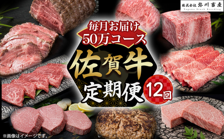 Z2 佐賀牛 毎月お届け便 50万コース 定期便 12回 佐賀牛 ブランド牛 国産牛 牛肉 肉 おすすめ ご褒美 定期便 お取り寄せ 佐賀県 太良町