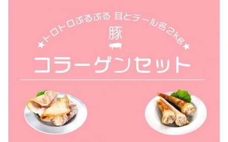 N30F 新鮮!豚コラーゲンセット 豚肉 お肉 肉 豚耳 ぶた耳 ブタ 尾 ぶた尾 ブタ テール テール コラーゲン セット品 ポーク 新鮮 冷凍便 冷凍品 人気 シャルキュティエ田嶋 太良町