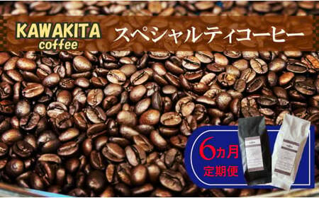 [かわきたコーヒー]スペシャルティコーヒー 200g×2種[豆]6カ月定期便 定期便 コーヒー豆 珈琲豆 焙煎 コーヒー スペシャルティコーヒー 定期便 太良町 佐賀 V8