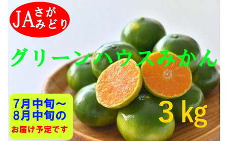 すっきり爽やか!!グリーンハウスみかん 3kg みかん ミカン 蜜柑 フルーツ くだもの 果物 ミネラル豊富 太良町 国産 贈答用