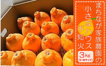L137x1 まちなが家族農園の小さなハウス不知火（しらぬい）3kg 【2026年4月下旬～5月下旬発送予定】