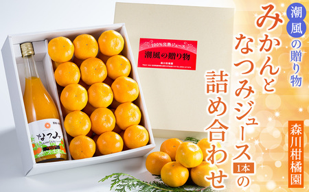 潮風の贈り物〜みかんとなつみジュース(1本)の詰め合わせ〜 みかん ミカン 蜜柑 柑橘 たら 太良 温州みかん 完熟 国産 佐賀県産 太良町 こだわり 産地直送 贈答品 詰め合わせ セット 甘熟 極甘 ジュース ストレート 果汁 無添加 無着色 ノンアルコール