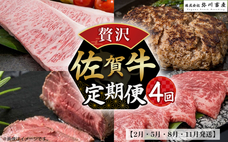 佐賀牛 贅沢!4回定期便[2月・5月・8月・11月発送]佐賀牛 定期便 肉 国産牛 サーロインステーキ ハンバーグ ローストビーフ カルビ 焼肉 佐賀県 太良町
