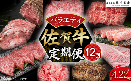 佐賀牛 バラエティ12回定期便 佐賀牛 ブランド牛 国産牛 牛肉 肉赤身 赤身肉 定期便 佐賀県 太良町