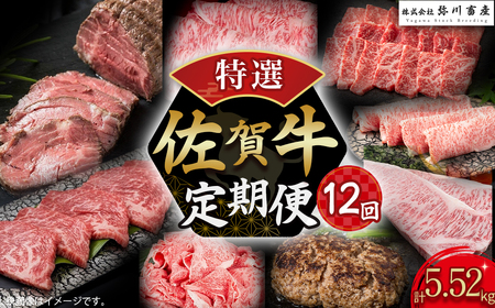 V11 佐賀牛 特選!12回定期便 佐賀牛 ブランド牛 国産牛 牛肉 肉 定期便 佐賀県 太良町
