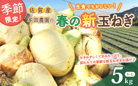 牟田農園の春の新玉ねぎ 5kg たまねぎ タマネギ 野菜 新玉ねぎ 玉ねぎ 5kg 玉ねぎ 玉ねぎ 佐賀県 太良町