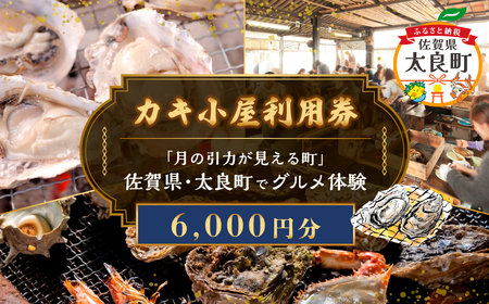 yJLpzü͂钬vꌧEǒŃǑ(6,000~) PB13