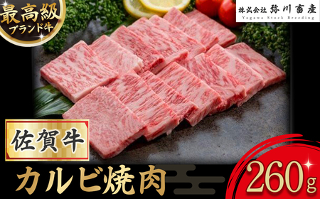 O176 ꋍ Jrē 260g Jr ē ~ Mtg  Y a uh    lC  ꌧ ǒ