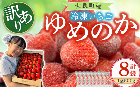󂠂IǒYu߂̂vⓀ500×W ꌧ ǒ OC20