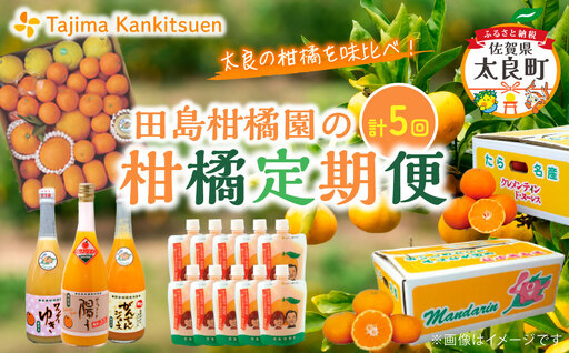 [5回定期便] 田島柑橘園の柑橘定期便 ミカン みかん クレメンティン 温州みかん 完熟 完熟みかん 味比べ 果物 フルーツ ジュース フルーツジュース 飲料 ジュース 冷凍 贅沢絞り セット 佐賀県 太良町 SD1x1