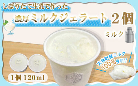 しぼりたて生乳で作った濃厚ミルクジェラート 2個セット ジェラート シャーべット アイスクリーム アイス 生乳 ミルク ジェラート クリーミー デザート 氷菓子 スイーツ 濃厚 冷凍 佐賀県 太良町