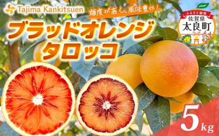 ck&H̃ubhIW(^bR)5kg@~J ݂ ^bR  t[c ʎ k ubh IW ꌧ ǒ O182