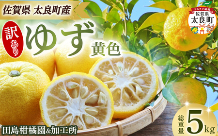 y󂠂zck&Ĥ䂸(F)5kg@Mq t[c ʕ k F ʔ ʏ` MqӞ fU[g ꌧ ǒ NA31