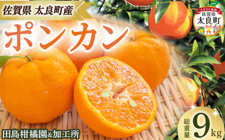 ck&H̃|J9kg@݂ k  |J n  ʎ IW t[c r^~ ꌧ ǒ OA16