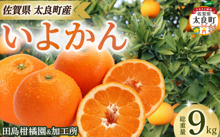 ck&Ĥ悩9kg@݂ ɗ\ n ʕ t[c r^~ ꌧ ǒ OA17