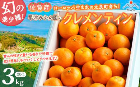 L-29x1 ���Â݂��񉀂̃N�������e�B�� 3kg �y2026�N1�����{�`2�����{�܂ŏ��������\��z �N�������e�B�� ���[���b�p���܂� ���ǂ݂��� �݂��� �~�J�� ���� �t���[�c �������� �ʕ� ���ǒ� ���Y