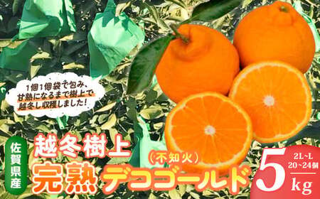 越冬樹上完熟デコゴールド (不知火) 5kg [2026年2月下旬〜4月下旬発送予定] N53x1