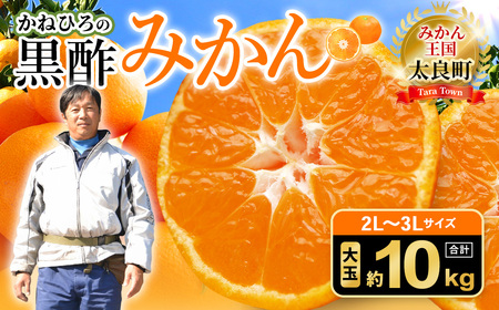 かねひろの黒酢みかん たっぷり 大玉 10kg (2L〜3Lサイズ) [7営業日以内発送] [2026年1月下旬まで順次発送予定] みかん ミカン 黒酢みかん 温州みかん 極早生種 早生種 中生 晩生 蜜柑 フルーツ 果物 くだもの 柑橘 常温 国産 佐賀県産 佐賀県 太良町 常温