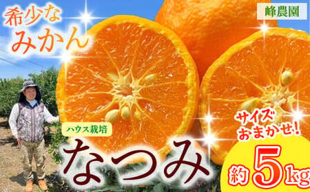 ���_���̃n�E�X�Ȃ� 5kg �i�T�C�Y���܂����j �y2026�N3�����{�`4�����{���������\��z �݂��� �~�J�� ���� ���� �}���_���� �|���J�� �󏭕i�� ���ǂ݂��� �Ȃ� ���k �t���[�c �ʕ� ���n