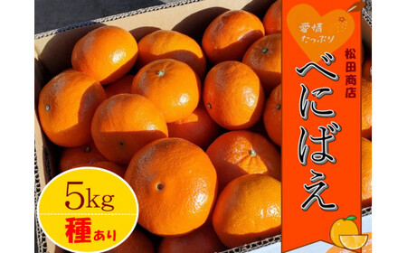 愛情たっぷりたらみかん(べにばえ)[種あり]5kg [2026年2月下旬まで順次発送予定] 希少 べにばえ みかん ミカン 蜜柑 オレンジ 交雑種 さっぱり 甘味 おいしい ミネラル豊富 太良町 国産 贈答用 NA3x1