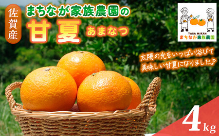 まちなが家族農園の甘夏 4kg [2026年4月下旬〜5月下旬まで順次発送予定] 国産 みかん ミカン 蜜柑 柑橘 あまなつ 甘夏 フルーツ くだもの 果物 お取り寄せ 贈り物 ギフト 佐賀県 太良町 LB1x1