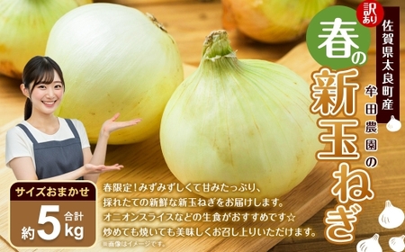 [ 訳あり ] 佐賀県太良町産 〜 牟田農園の春の新玉ねぎ 5kg ( サイズおまかせ ) 野菜 やさい 玉ねぎ 季節 春 新玉 オニオン オニオンスライス 生食 たまねぎ 国産 佐賀県産 [ 2026年4月上旬〜6月上旬まで順次発送予定 ]