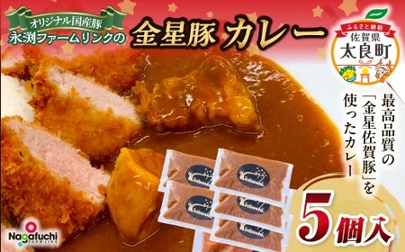 永渕ファームリンクの金星佐賀豚カレー ブランド豚 豚肉 ぶた肉 ポーク 金星佐賀豚 国産 ポークカレー カレー 金星カレー 食品 レトルト お手軽 調理 冷凍便 冷凍品 冷凍 佐賀県 太良町