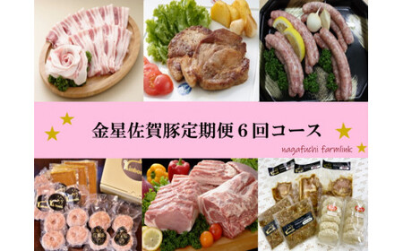 金星佐賀豚 定期便6回コース