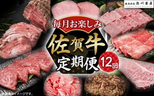 V2x1 佐賀牛 毎月お楽しみ便 12回コース 定期便 12ヶ月 ローストビーフ 赤身 焼肉 ロース ステーキ ウデブロック ヒレステーキ ハンバーグ しゃぶしゃぶ すき焼き 切落し ロース ヒレ 人気 おすすめ 国産牛 和牛 ブランド牛 牛肉 肉 高級 佐賀県 太良町