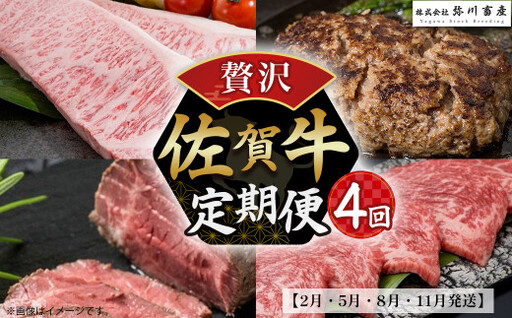 SE1x1 佐賀牛 贅沢!4回定期便[2月・5月・8月・11月発送]佐賀牛 ハンバーグ ローストビーフ サーロイン 佐賀県 太良町