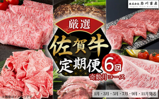 T30x1 佐賀牛 厳選!6回定期便 奇数月コース[1月・3月・5月・7月・9月・11月発送] 佐賀牛 ブランド牛 国産牛 牛肉 肉 佐賀県 太良町
