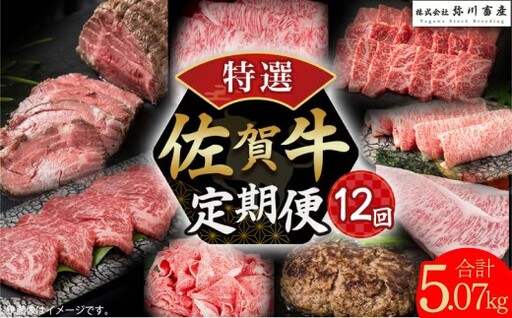 V11x1 佐賀牛 特選!12回定期便 佐賀牛 ブランド牛 国産牛 牛肉 肉 定期便 佐賀県 太良町