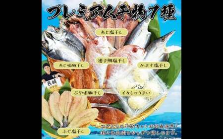 [全12回定期便][最長2ヵ月前後]長崎 海鮮三昧 ひものセット 干物 乾物 魚介 お魚 魚 おつまみ 酒の肴