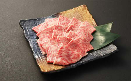 [全3回定期便]長崎和牛 焼肉用 ロース 約400g 和牛 国産 お肉 肉 牛肉 焼き肉 BBQ バーベキュー 冷凍 長崎