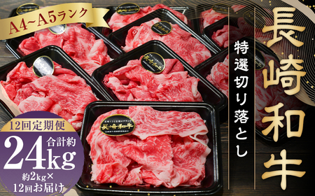 yS12ցzyA4`A5NzaI؂藎Ƃ 2kg (200g×10pbN)    a Y Y a Ă ē o[xL[  Ⓚ 