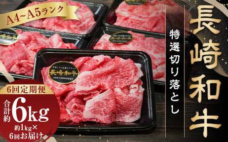 【全6回定期便】【A4～A5ランク】長崎和牛 特選 切り落とし 約1kg (200g×5パック) 牛肉 肉 牛 和牛 国産牛 国産 長崎和牛