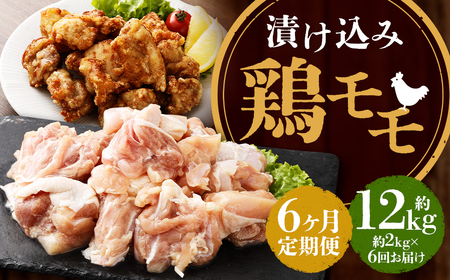yS6ցzЂ { 2kg (500g×4) v12kg ^ Y  {  ȒP  { 茧 s