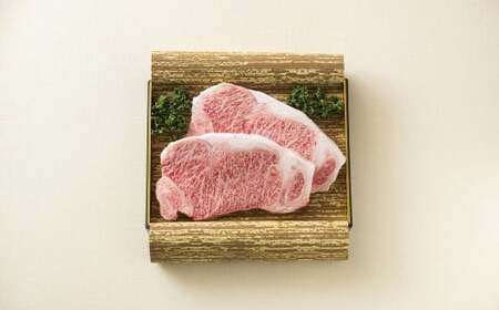 長崎和牛サーロインステーキ2枚セット 合計500g (250g×2枚) / 国産 ソース付き ステーキ 肉 お肉 和牛