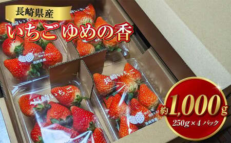 長崎県産いちご ゆめの香 約1kg (250g×4パック) ／ 果物 くだもの フルーツ イチゴ 苺 長崎県 長崎市 【2024年11月下旬-2025年5月下旬発送予定】