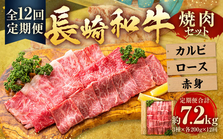 yS12ցza ē Zbg Jr [X Ԑg 600g (e200g) ^v7.2kg Y   a  茧 s