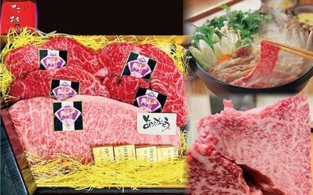 [全3回定期便]長崎和牛 出島ばらいろ レギュラータイプF / 和牛 お肉 肉 牛肉 国産 ヒレ サーロイン ミスジ ヒウチ 焼肉 ステーキ すき焼 鍋 長崎県 長崎市