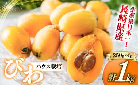 温室ハウス栽培 びわ（250g×4パック） びわ ビワ 枇杷 長崎びわ 長崎早生 茂木びわ 果物 くだもの フルーツ 果実 デザート 【2025年4月上旬-5月上旬発送予定】