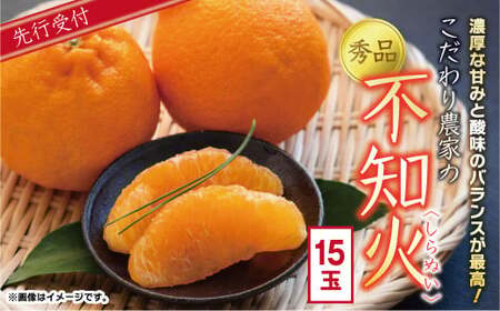 _Ƃ Gi sm 15 i  j  ݂ ~J ʕ t[c Mtg 蕨 v[g k  y2026N4{蔭Jn\z
