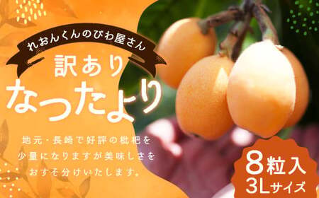 【訳あり】長崎産 茂木びわ「なつたより」3L（8粒入り）【2026年5月上旬～6月下旬迄発送予定】 ／ びわ 枇杷 果物 フルーツ 食品 九州 訳アリ わけあり 理由あり 長崎県 長崎市 常温