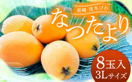 長崎 茂木びわ 『なつたより』 3L 計8玉 [2025年5月上旬〜6月下旬迄発送予定] びわ 枇杷 ビワ 長崎びわ