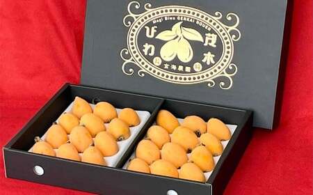 長崎 茂木びわ 『茂木』 Lサイズ 24個 x1箱 【2026年5月上旬～6月上旬迄発送予定】 びわ 枇杷 果物 果実 フルーツ 九州 長崎県 長崎市 常温