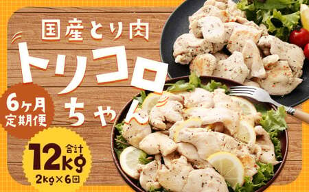 yS6ցzY { gR v2kg (500g×4pbN) ^ oWybp[ ybp[ \e[p {  \[X ̃}V 茧 s