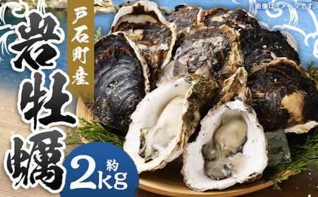 [指定日時必須]戸石町産 岩牡蠣 計約2kg(生食用/カキナイフ付き)[2025年5月8日〜9月21日迄発送予定] 牡蠣 カキ イワガキ 生牡蠣 長崎県 長崎市
